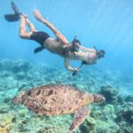 From Lombok: Full-Day Gili Gede, Rengit, & Layar Island Tour - Why This Tour Stands Out