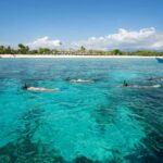 From Lombok: Gili Islands Private Snorkeling & Turtle Tour - The Real Value of This Tour