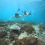From Lombok Private Snorkeling 3 Gili All Inclusive - The Itinerary Breakdown: What to Expect