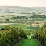 From Lyttelton: Private Wine Tour & Chefs Degustation - What Sets This Tour Apart