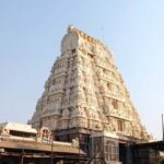 From Mahabalipuram: Kanchipuram, Thiruvanamalai & Pondi drop - What the Experience Feels Like