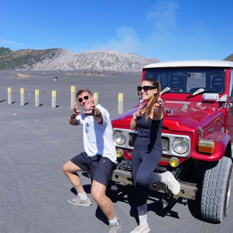 From Malang: 1-Day Mount Bromo Shared Trip - Transportation & Logistics