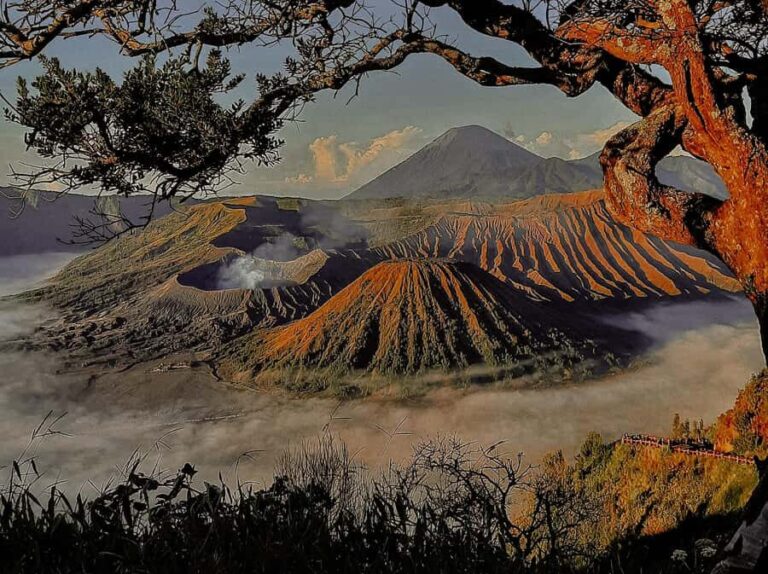 From Malang: Shared Mount Bromo & Ijen Tours Start - 2D1N - What Makes This Tour Stand Out?