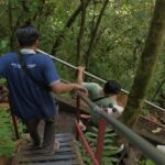 From Malang: Tumpak Sewu Waterfall & Tetes Cave Day Trip - What Makes This Tour Stand Out