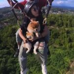From Manila: Tandem Paragliding Experience with Pilot - What You Can Expect