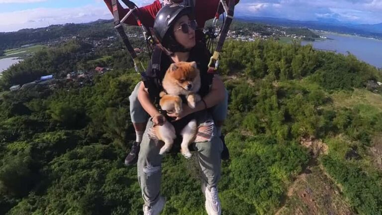 From Manila: Tandem Paragliding Experience with Pilot - What You Can Expect