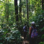 From Medan : Jungle Trekking for Orang Utan at Mount Leuser - Why This Jungle Trek Stands Out