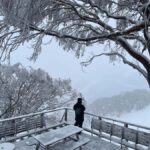 From Melbourne: 5-Day Snow to Surf Trip on Great Alpine Road - What to Expect: Real Experiences and Practical Details