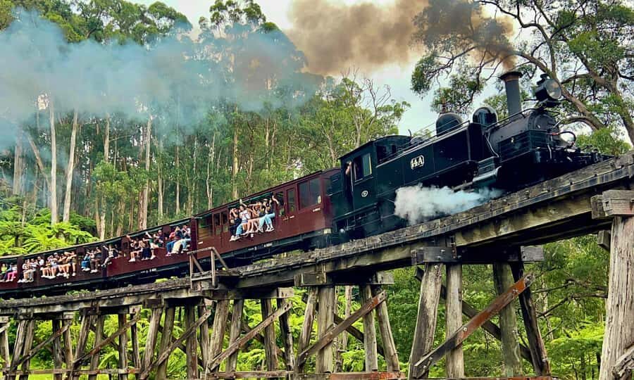 From Melbourne: Puffing Billy & Penguins Combo Tour Package - Transportation, Guides, and Overall Comfort