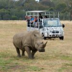 From Melbourne: Werribee Open Range Zoo & Werribee Mansion - An In-Depth Look at the Tour Experience