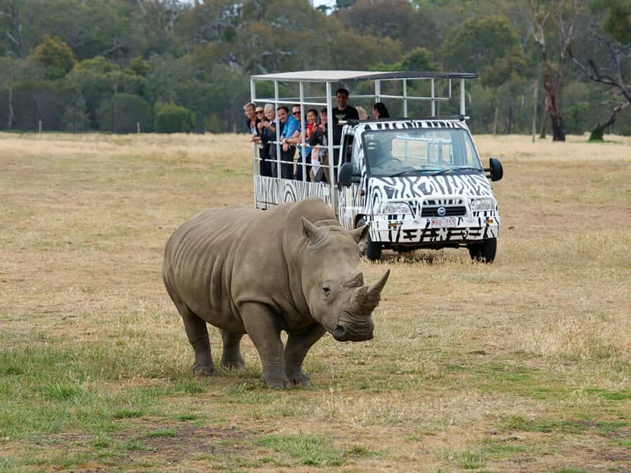 From Melbourne: Werribee Open Range Zoo & Werribee Mansion - An In-Depth Look at the Tour Experience