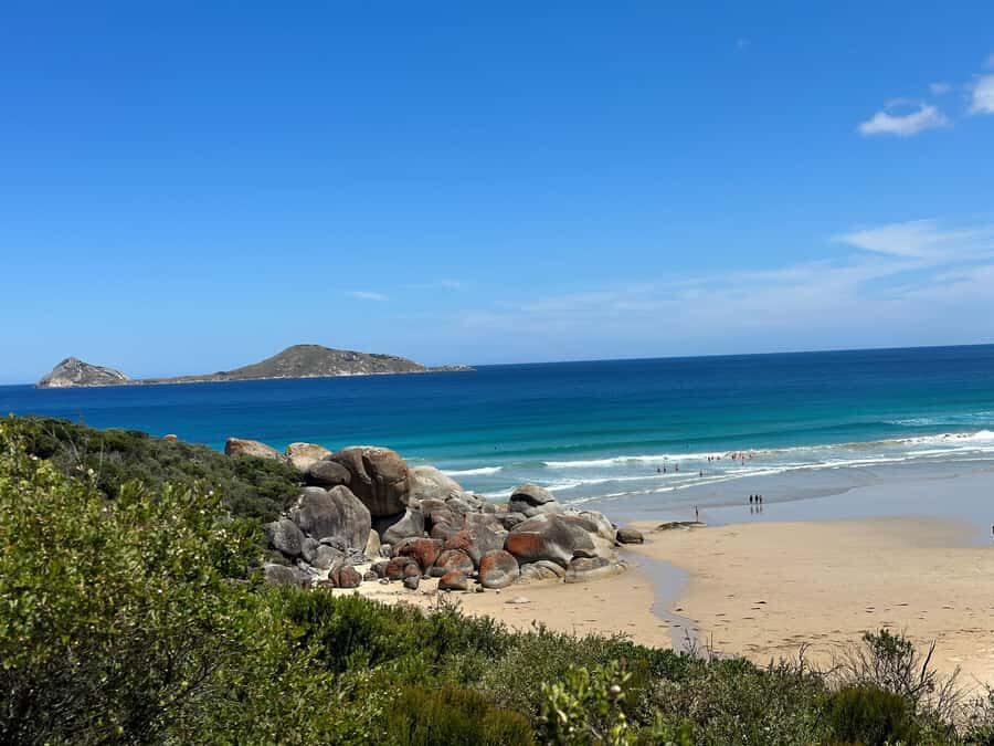 From Melbourne: Wilsons Promontory Wilderness Tour - Tidal River and Light Walks