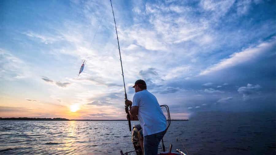 From Mirissa: All-Inclusive Deep Sea Fishing Boat Tour - The Fishing Technique and Species