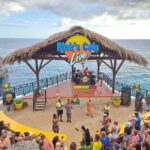 From Montego Bay: Blue Hole Mineral Spring and Rick's Cafe - The Practicalities: What to Expect