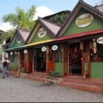 From Montego Bay: Bob Marley 9 mile & Dunns River falls tour - What to Know Before Booking