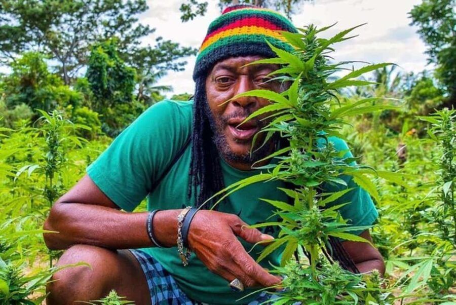 From Montego Bay/Negril: Rasta Safari UTV Experience - Final Thoughts