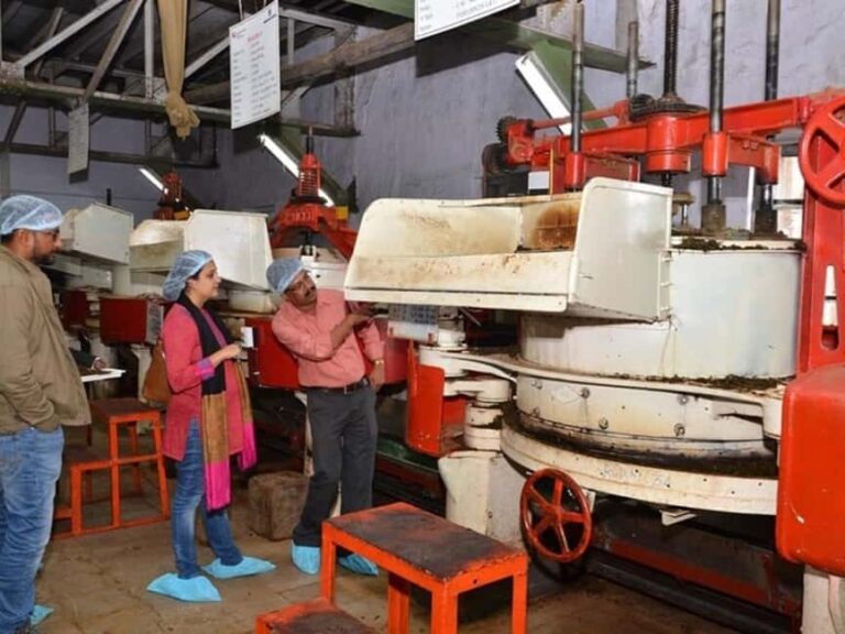 From Munnar: Tea Factory, Plantation, and National Park Tour - Who Should Consider This Tour?