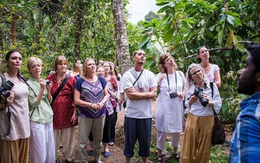 From Munnar: Tea Factory, Plantation, and National Park Tour - An Overview of the Tour Experience