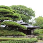 From Nagano: Private Guided Tour to Tokyo with Hotel Pickup - Itinerary and Stops: Customizable and Convenient