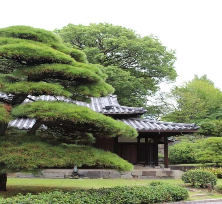 From Nagano: Private Guided Tour to Tokyo with Hotel Pickup - Itinerary and Stops: Customizable and Convenient