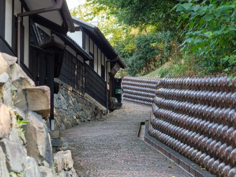 From Nagoya: Crafting Traditions in Tokoname and Arimatsu - Practicalities and Tips for the Tour  