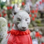 From Nagoya: Discover Aichi  Korankei, Miso, & Inari Shrine - Practical Details & Tips