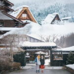From Nagoya: Hida Takayama and Shirakawa-go Winter Day Tour - Transportation and Guide Experience