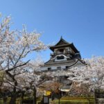 From Nagoya: Inuyama Day Trip - Good To Know