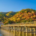 From Nagoya: Kyoto Day Tour with Pork Shabu-Shabu Lunch - Detailed Breakdown of the Experience