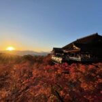 From Nagoya: Kyoto Day Tour with Pork Shabu-Shabu Lunch - The Itinerary Breakdown