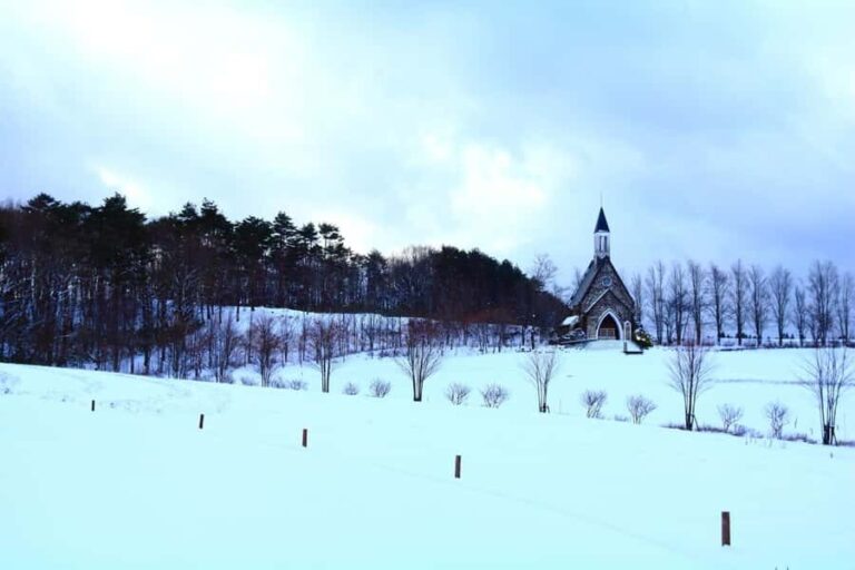 From Nagoya: Snow Day in the Japan Alps & Shirakawago - Practical Details and Considerations