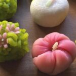 From Nagoya: Wagashi Workshop & Matcha Tea Field Tour - Final Thoughts: Who Will Love This Tour?