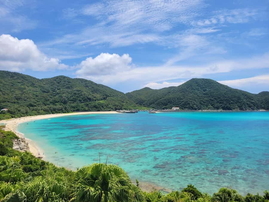 From Naha : Kerama, Tokashiki Island and Whale Watching Tour - The Beach and Free Time