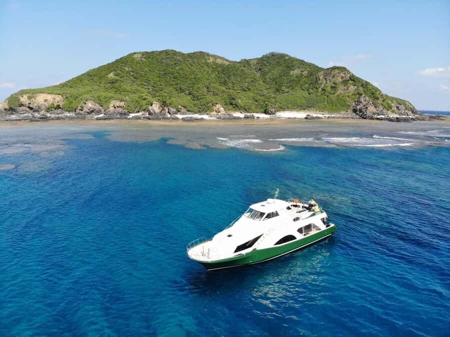 From Naha:Full-Day Kerama Island Experience 1Dive/Snorkeling - The Real Value of This Tour