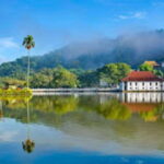 From Negombo : Pinnawala & Tea Factory & Kandy Full Day Trip - Who Will Love This Tour?