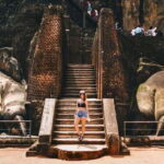 From Negombo: Sigiriya and Dambulla Day Trip and Safari - The Itinerary Breakdown: What You Can Expect