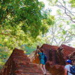 From Negombo: Sigiriya and Dambulla Day Trip and Safari - Practical Details and What to Expect