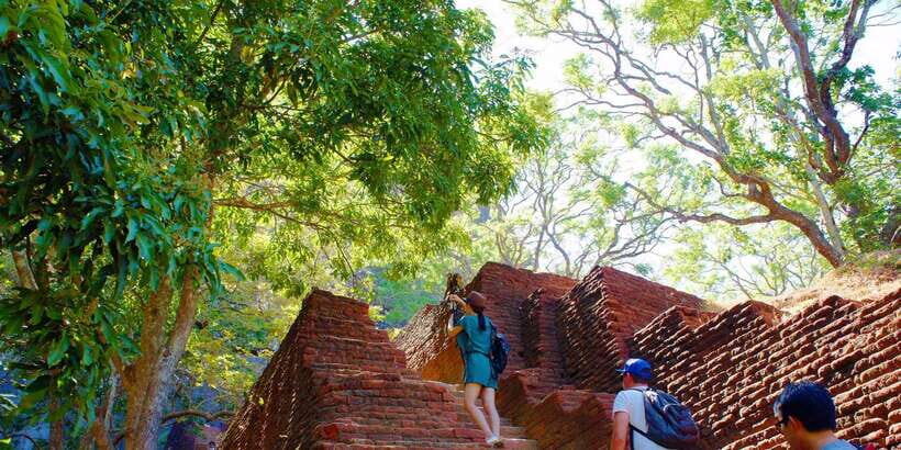 From Negombo: Sigiriya and Dambulla Day Trip and Safari - Practical Details and What to Expect