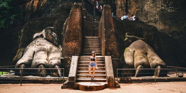 From Negombo: Sigiriya and Dambulla Day Trip and Safari - The Itinerary Breakdown: What You Can Expect