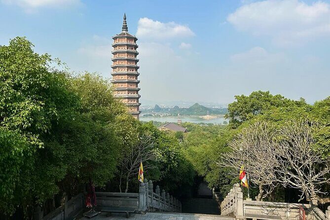 From Ninh Binh: Bai Dinh Pagoda, Mua Cave & Trang An Scenic Views - What Travelers Are Saying