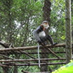 From Ninh Binh to Cuc Phuong National Park, Trekking and Jungle - Who Will Love This Tour?