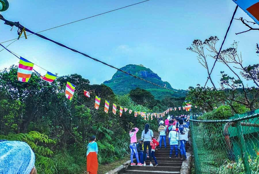 From Nuwara Eliya: Adam's Peak Climb & Ella Drop - The Itinerary Breakdown