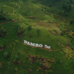 From Nuwara Eliya To Kandy Drop Tour - Who Is This Tour Best For?