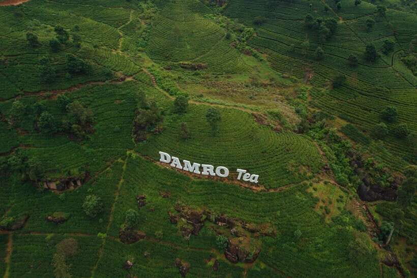 From Nuwara Eliya To Kandy Drop Tour - Who Is This Tour Best For?