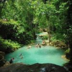 From Ocho Rios: Island Gully Secret Falls and Dunn's River - Who Is This Tour Best For?