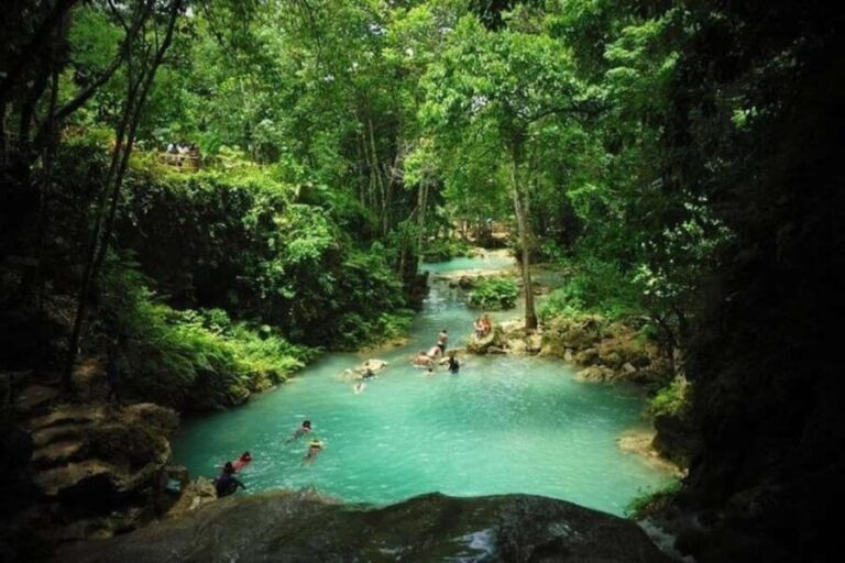 From Ocho Rios: Island Gully Secret Falls and Dunn's River - Who Is This Tour Best For?