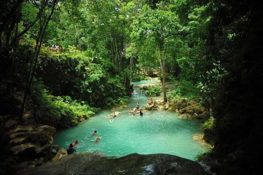 From Ocho Rios: Island Gully Secret Falls and Dunn's River - Who Is This Tour Best For?
