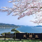 From Osaka/Kyoto: Amanohashidate Day TourIncluding tickets - Practical Aspects of the Tour