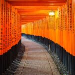 From Osaka/Kyoto: Kinkakuji, Arashiyama, FushimiInari, Nara - Exploring the Highlights