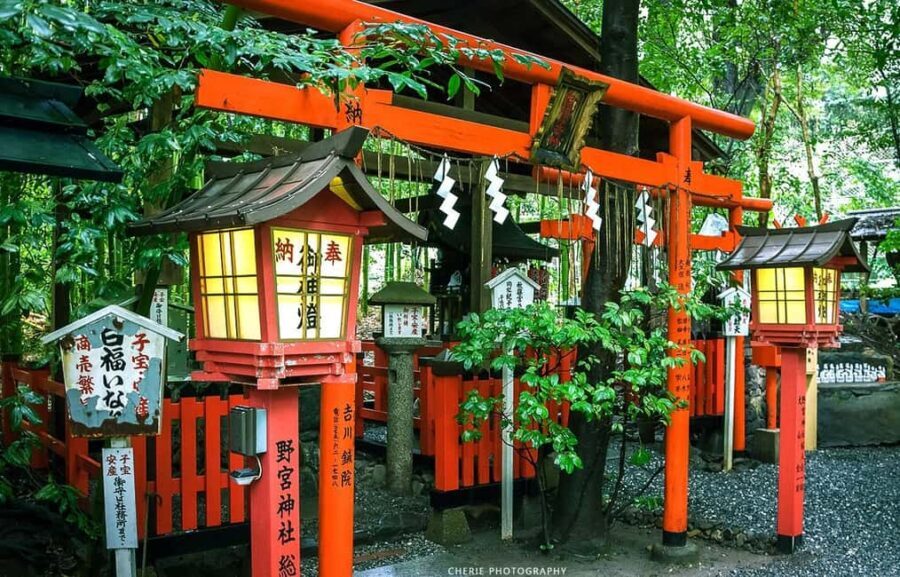 From Osaka: Kyoto, Nara, Fushimi Inari & Arashiyama Day Tour - Detailed Breakdown of the Itinerary